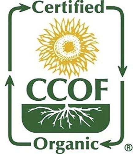McCabe Organic Oat Flour White - Oat Flour Organic | Rich with Fiber & Minerals | USDA and CCOF Certified | Product of USA | 2Lbs | Pack of 2