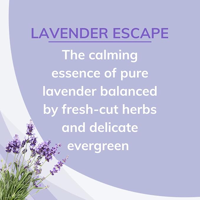 Citrus Magic Odor Absorbing Solid Air Freshener, Lavender Escape, 8-Ounce, Pack of 6