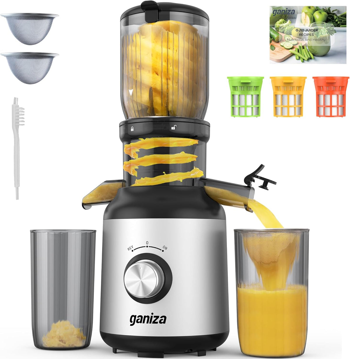 Ganiza Juicer Machines, Cold Press Juicer with 4.3" Large Feed Chute for Whole Fruits & Vegetables, Slow Masticating juicers with 3 Replace Filters for Batch Juicing, Easy to Clean, BPA Free(Silver)