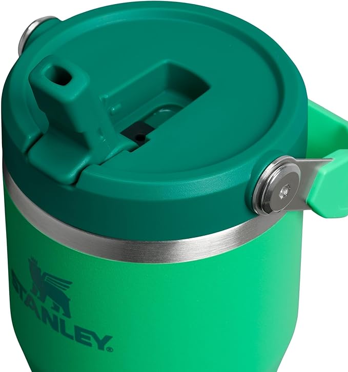 STANLEY IceFlow 2.0 Flip Straw Tumbler with Handle 20 oz | Twist On Lid and Flip Up Straw | Leakproof Water Bottle | Insulated Stainless Steel | BPA-Free | Meadow