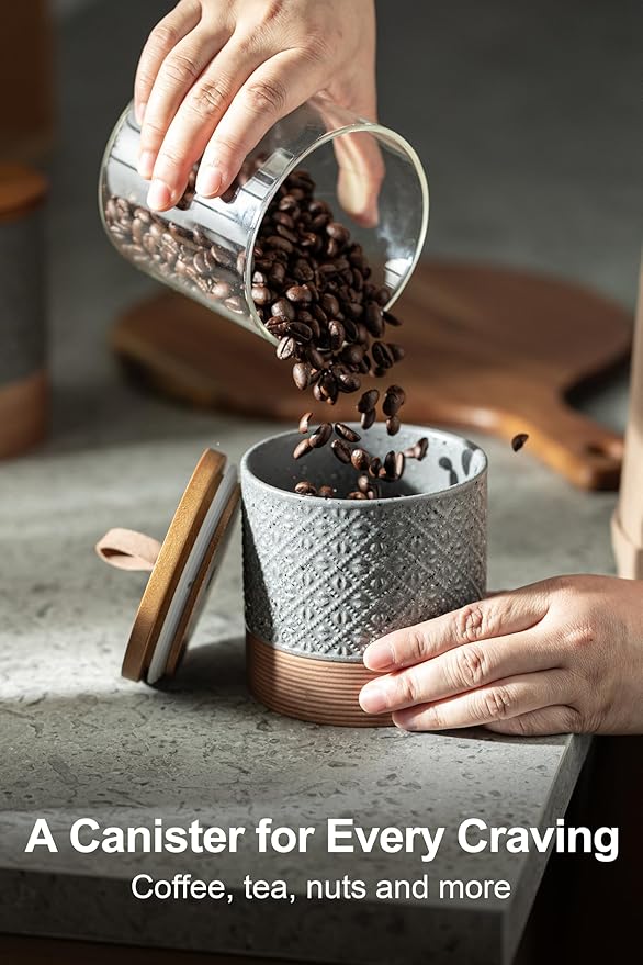 Miamolo Ceramic Spice Jars with Lids, Coffee Canister with Airtight Lid, Small Kitchen Food Storage Jars for Spice Sugar Tea Bag, Stackable Decor Kitchen Jar for Counter - Gray & 20 fl.oz