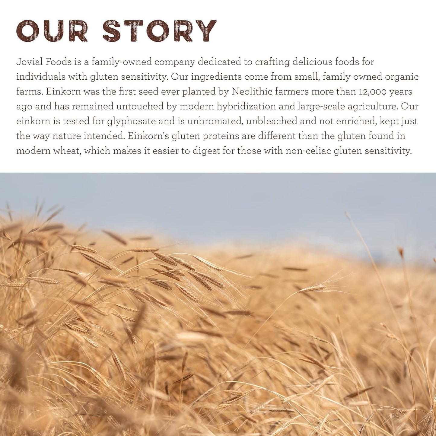 Jovial Organic Einkorn Unbleached All Purpose Flour - For Sourdough Bread Baking, High Protein, Non-GMO, Organic Pizza & Pasta Flour, European Italian, Glyphosate Free - 10 Lb, 2 Pack