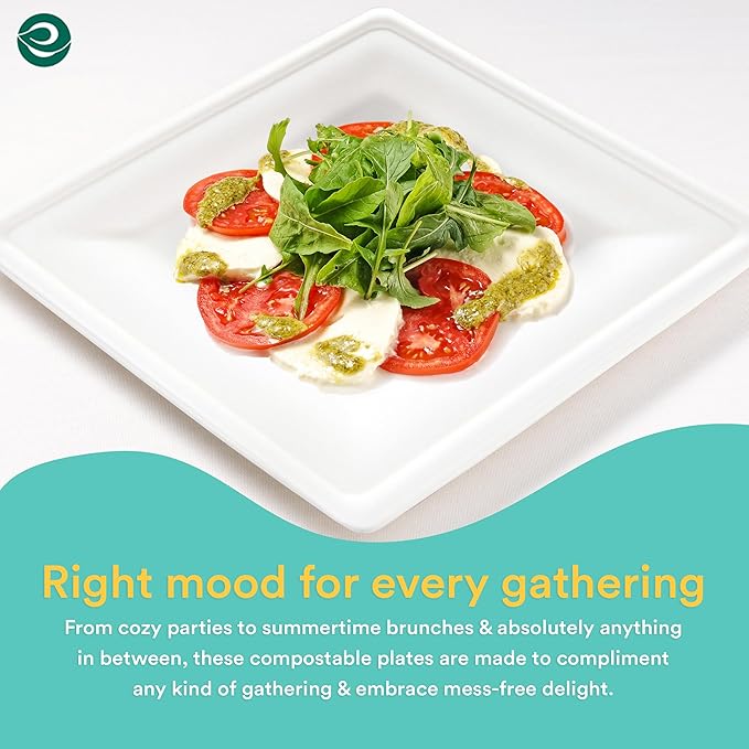 ECO SOUL Compostable Paper Plates 6 Inch (1000 Count) Heavy Duty Disposable Dessert Plates, Eco-Friendly Sugarcane Bagasse Small Plates For Appetizer- White