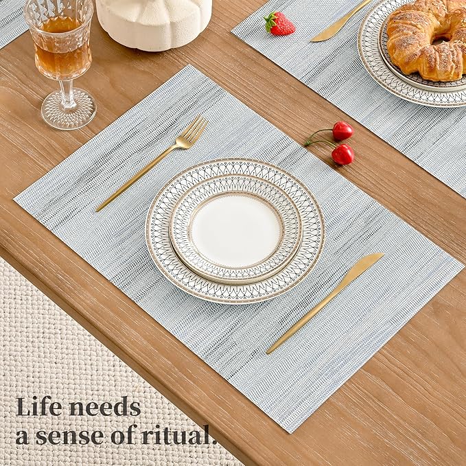 Leetaltree LightSteel Blue Placemats Set of 6 - Heat Resistant Non-Slip Place mats for Dining Table, Washable Durable PVC Vinyl Woven Table Mats（LightSteel Blue, 6）